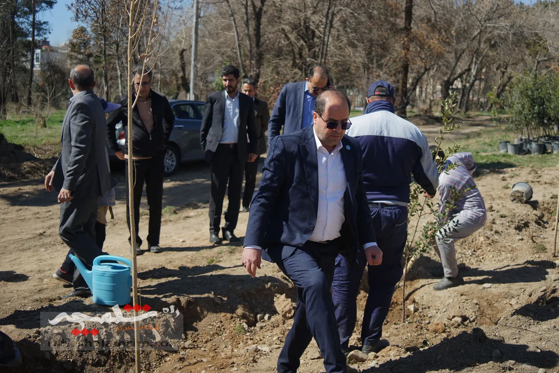 کاشت هزار اصله درخت در دانشگاه تهران — تصویر 11
