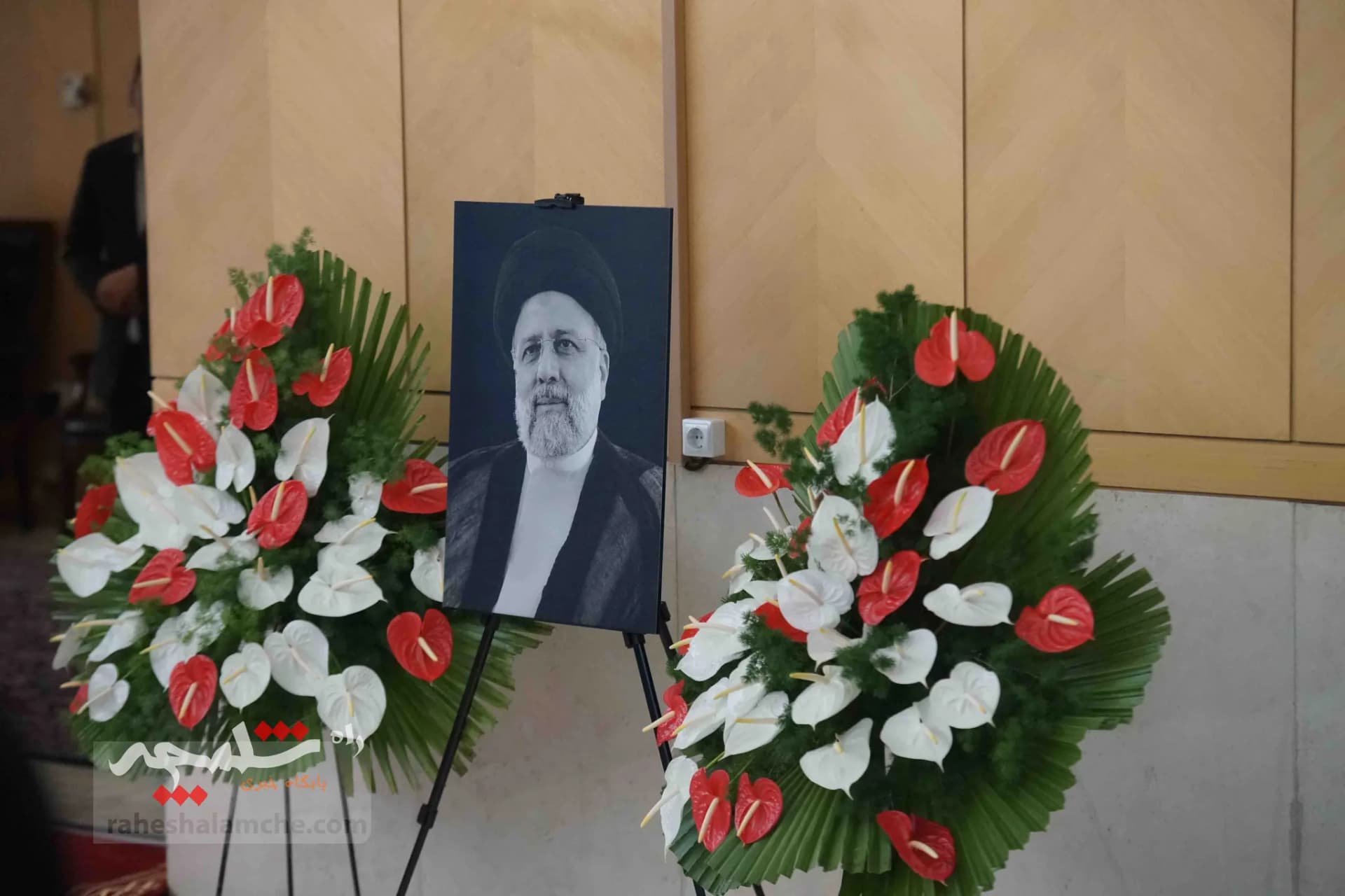 گزارش تصویری از حاشیه‌های مراسم تحلیف پزشکیان — تصویر 24