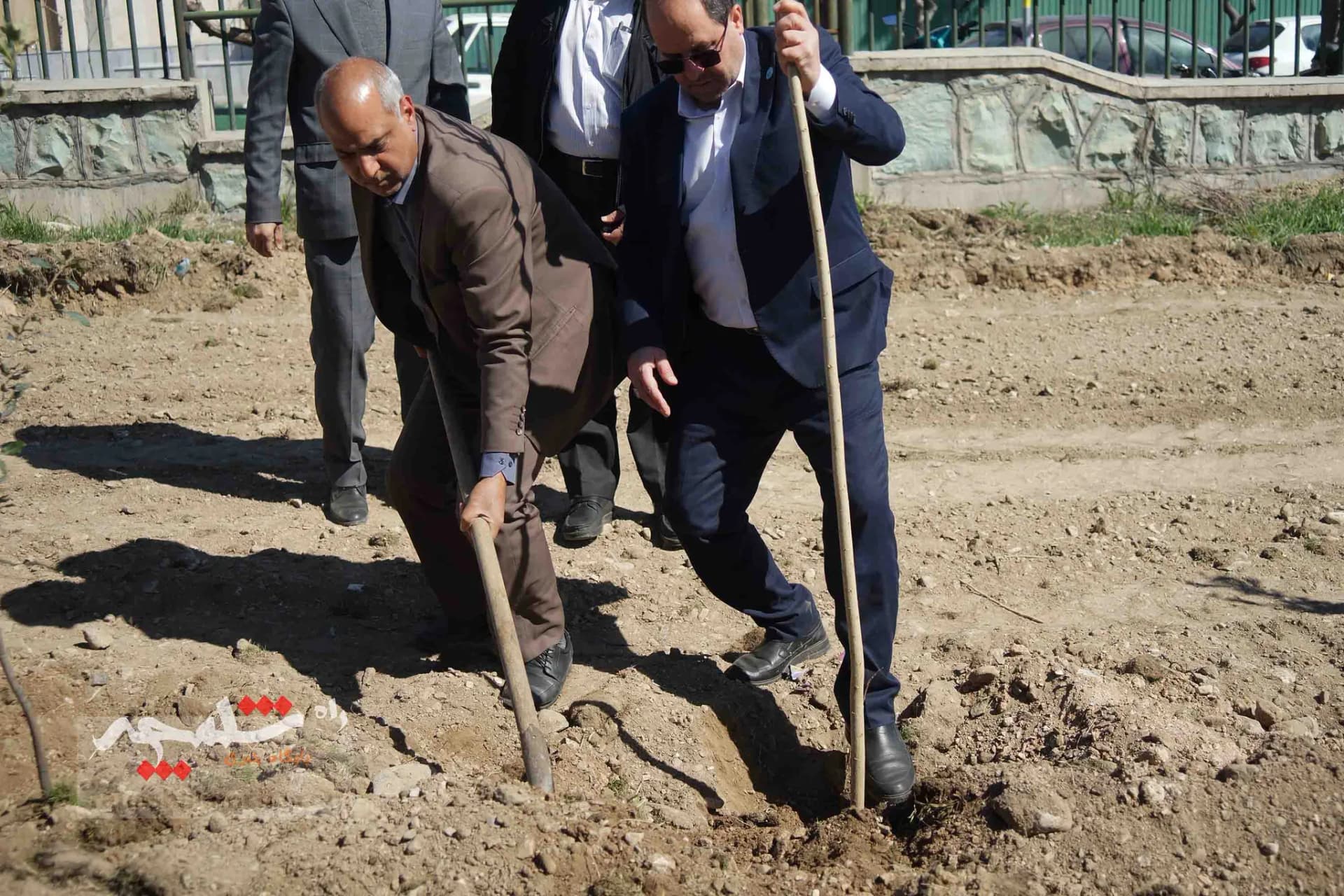 کاشت هزار اصله درخت در دانشگاه تهران — تصویر 20