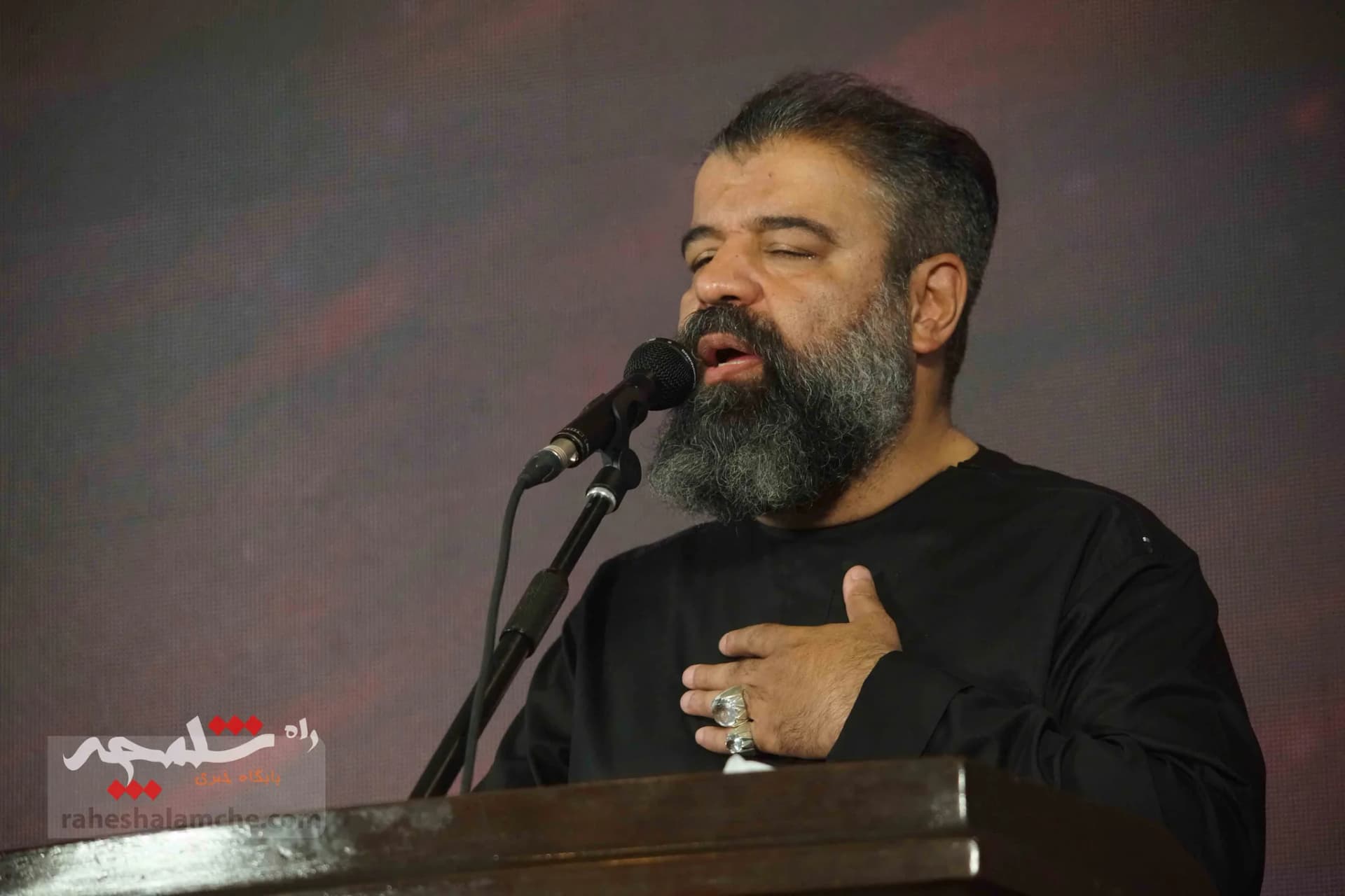 اجتماع بزرگ شیرخوارگان حسینی به یاد کودکان غزه + تصاویر — تصویر 30
