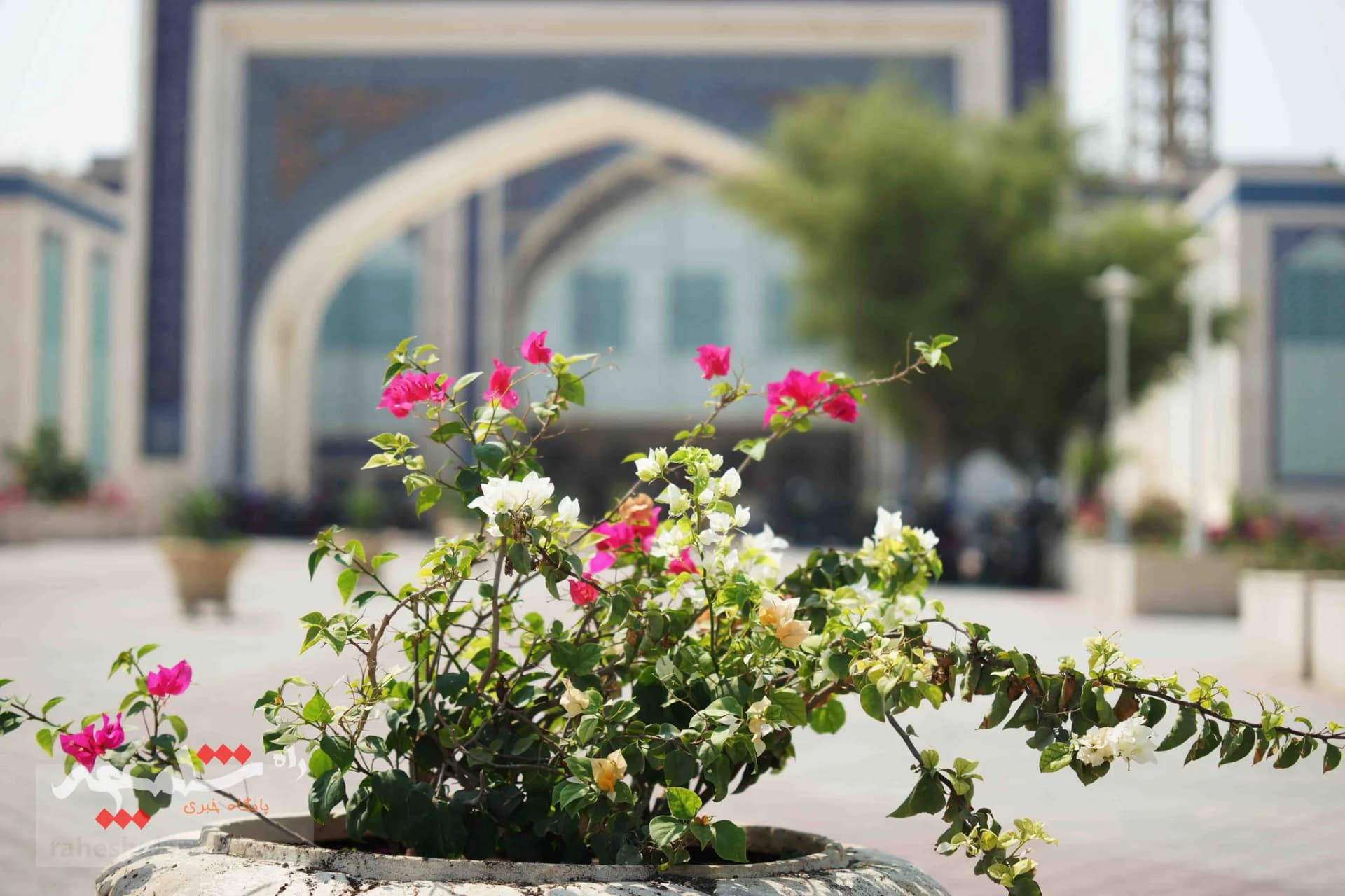 نماز جمعه جزیره کیش برگزار شد +تصاویر — تصویر 62