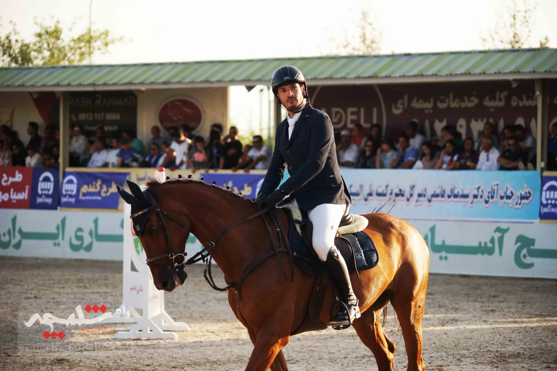 مکاری‌نژاد قهرمان مسابقات سوارکاری استان تهران شد +تصاویر — تصویر 16