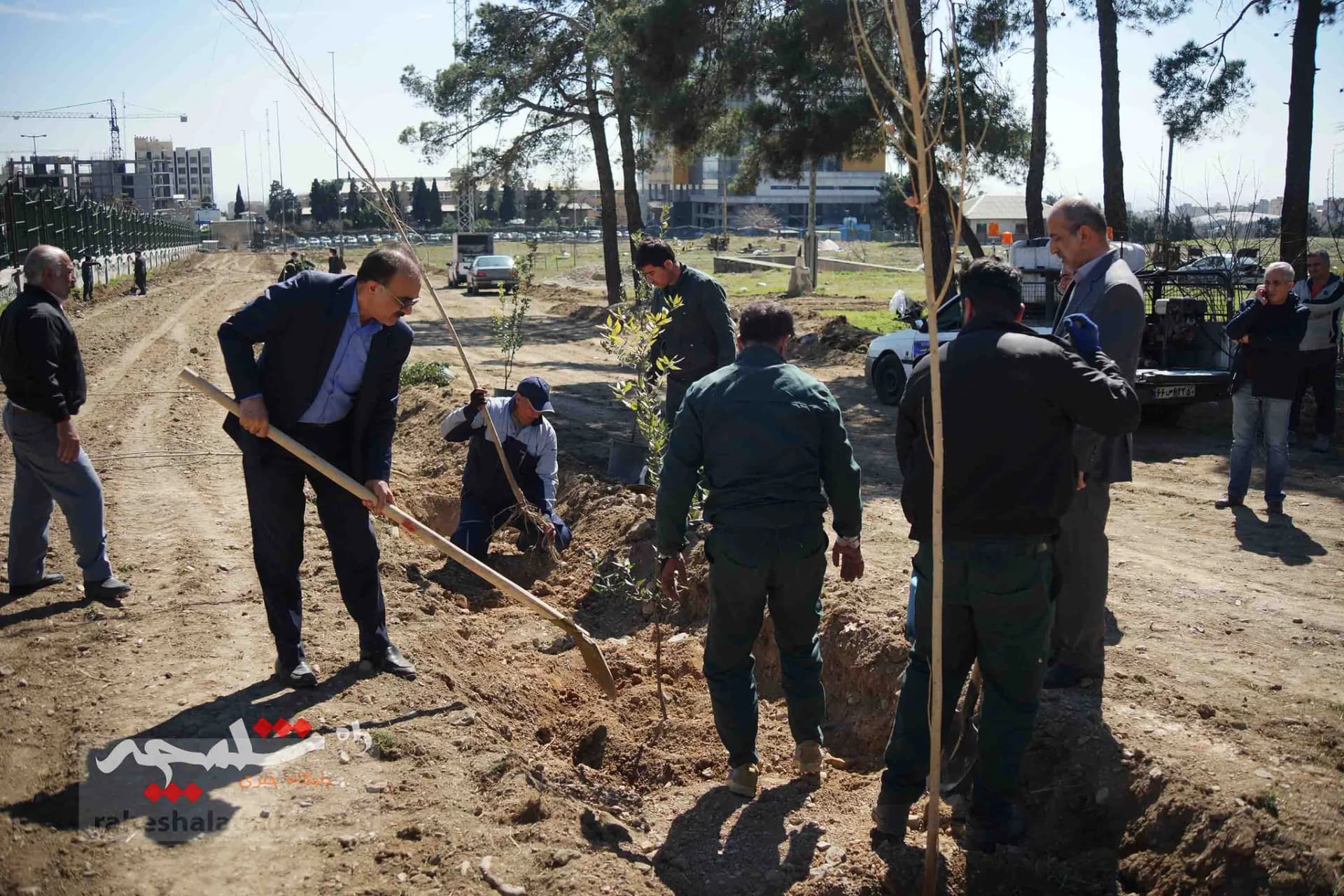 کاشت هزار اصله درخت در دانشگاه تهران — تصویر 12