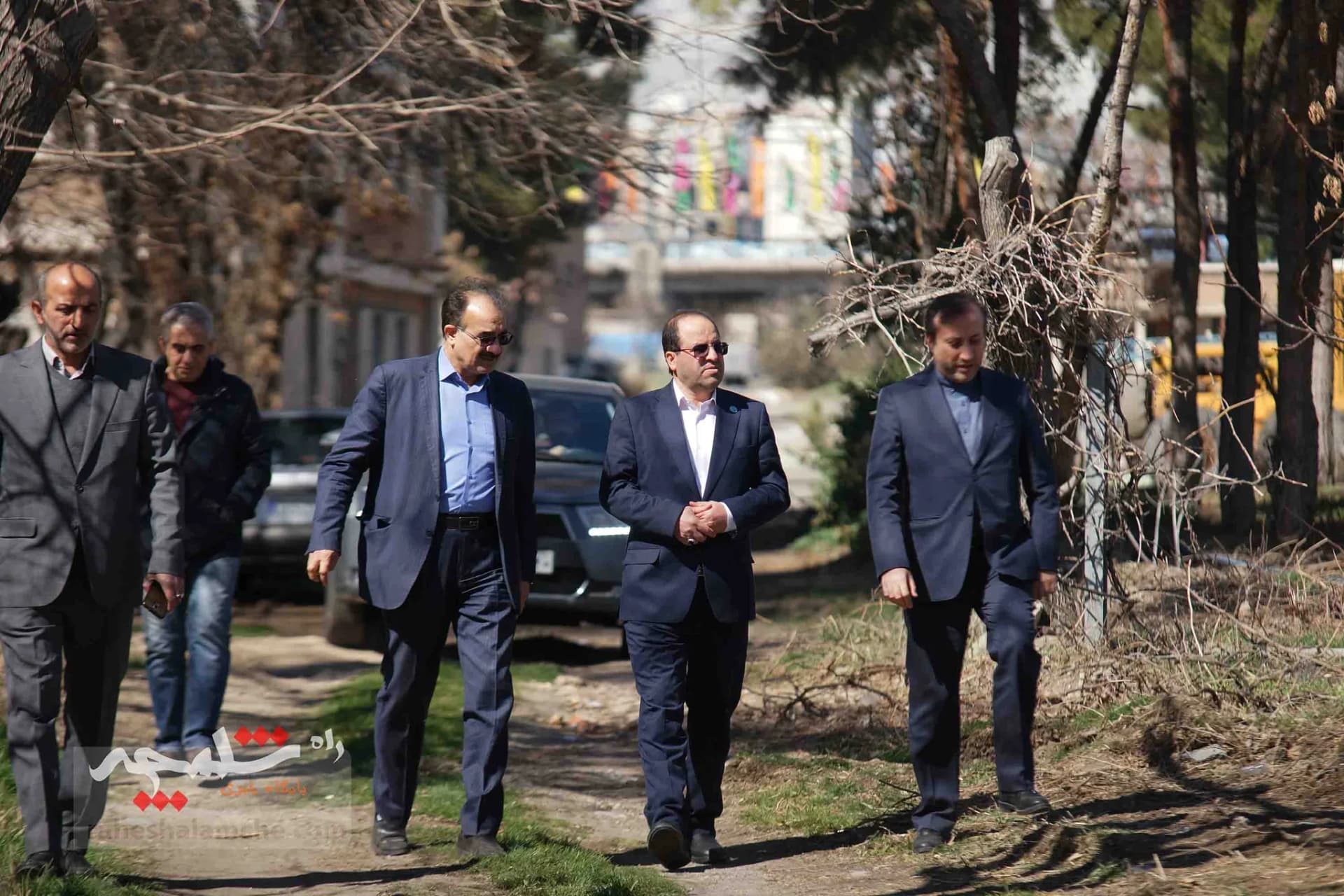 کاشت هزار اصله درخت در دانشگاه تهران — تصویر 2