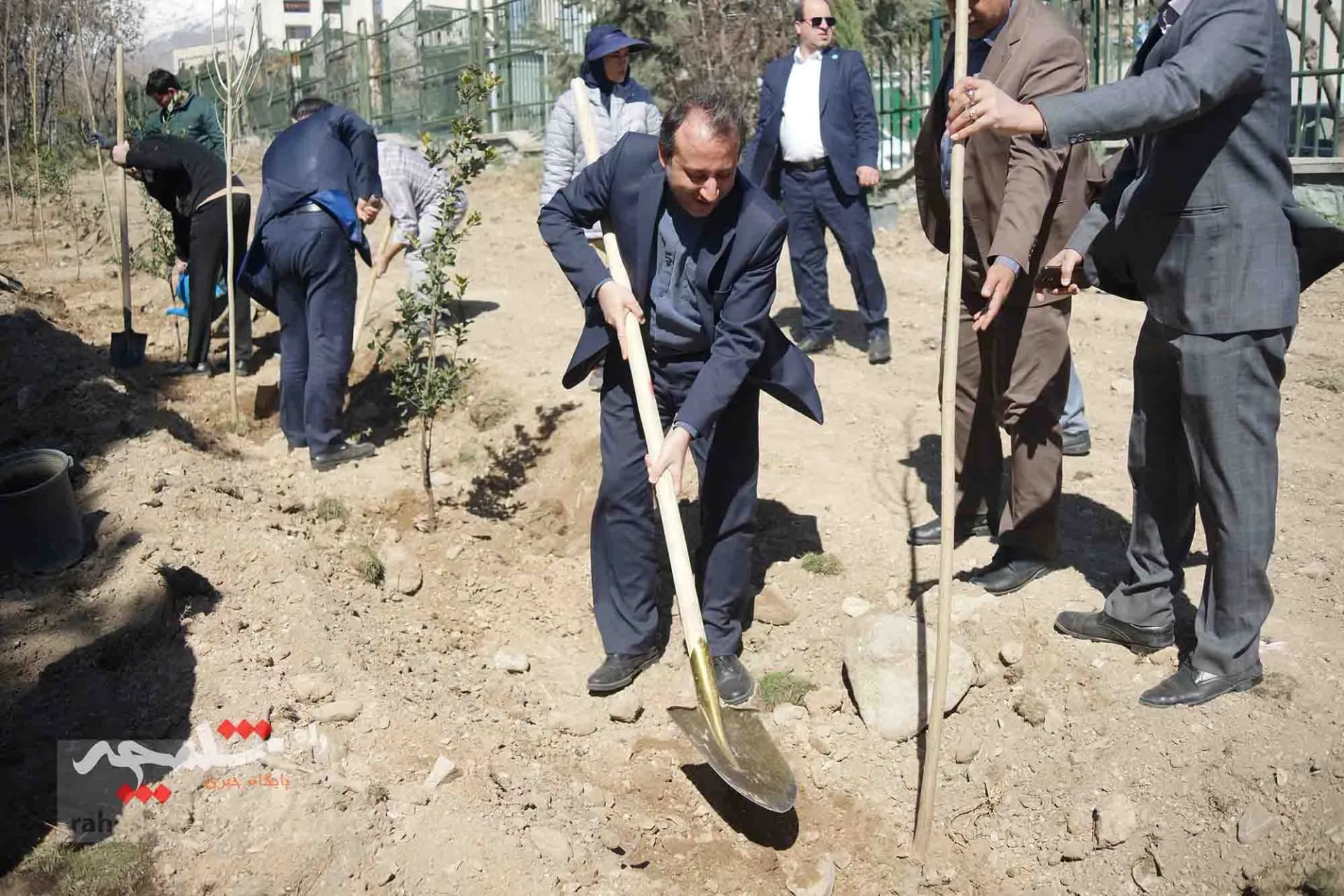 کاشت هزار اصله درخت در دانشگاه تهران — تصویر 15