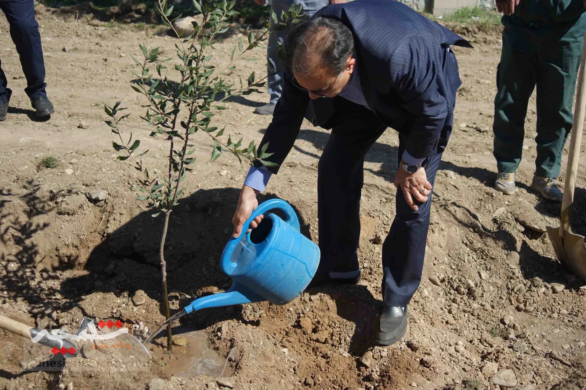 کاشت هزار اصله درخت در دانشگاه تهران — تصویر 13