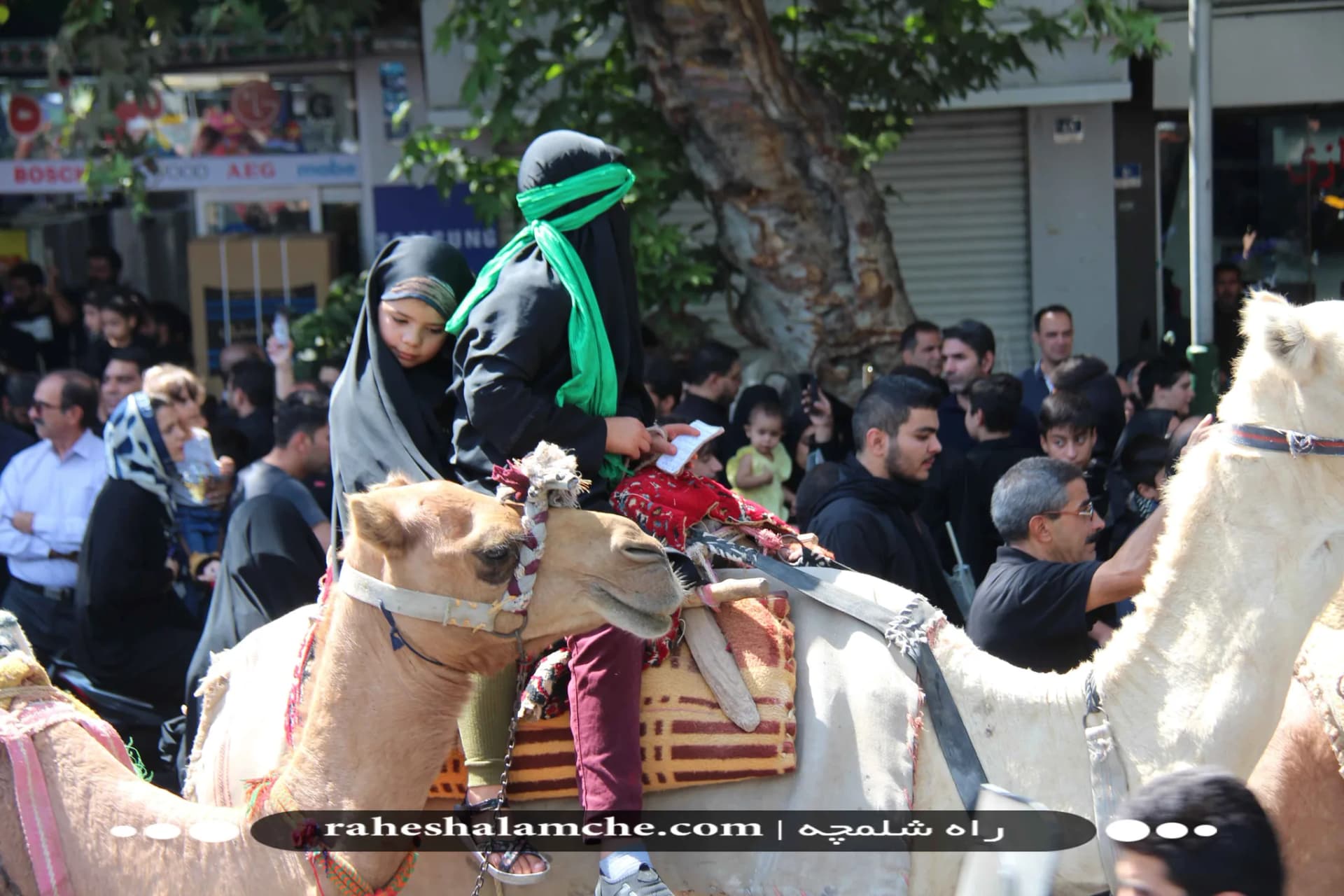 بزرگ ترین کاروان علامت کشی و دسته عزاداری بنیاسد در تهران/ تصاویر — تصویر 23