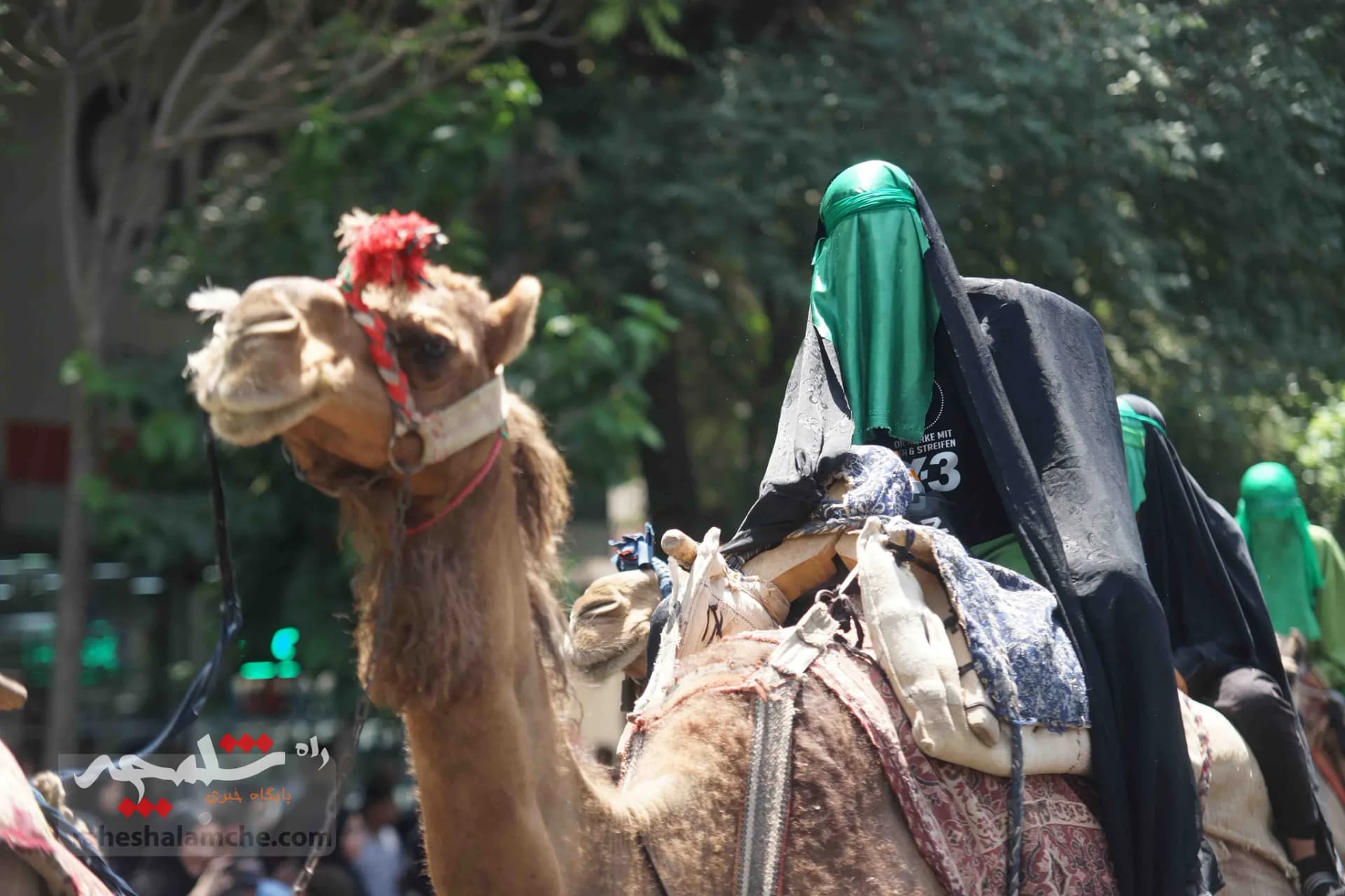 عزاداری خاص در تهران +تصاویر — تصویر 20