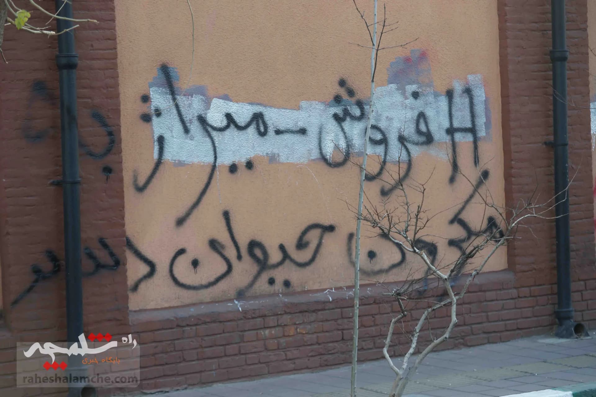 شعار نویسی فوقالعاده مفهومی روی دیوار سفارت فرانسه در تهران +تصاویر — تصویر 1