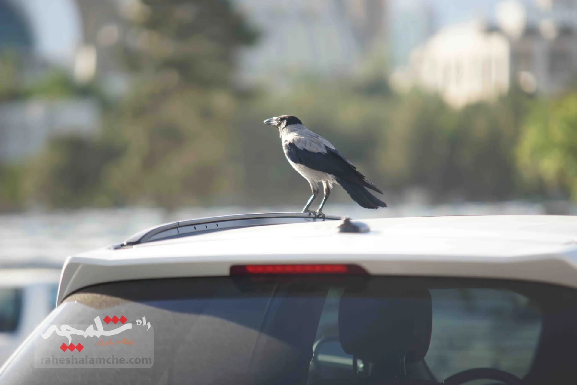 گزارش تصویری متفاوت از نمایشگاه کتاب تهران — تصویر 2