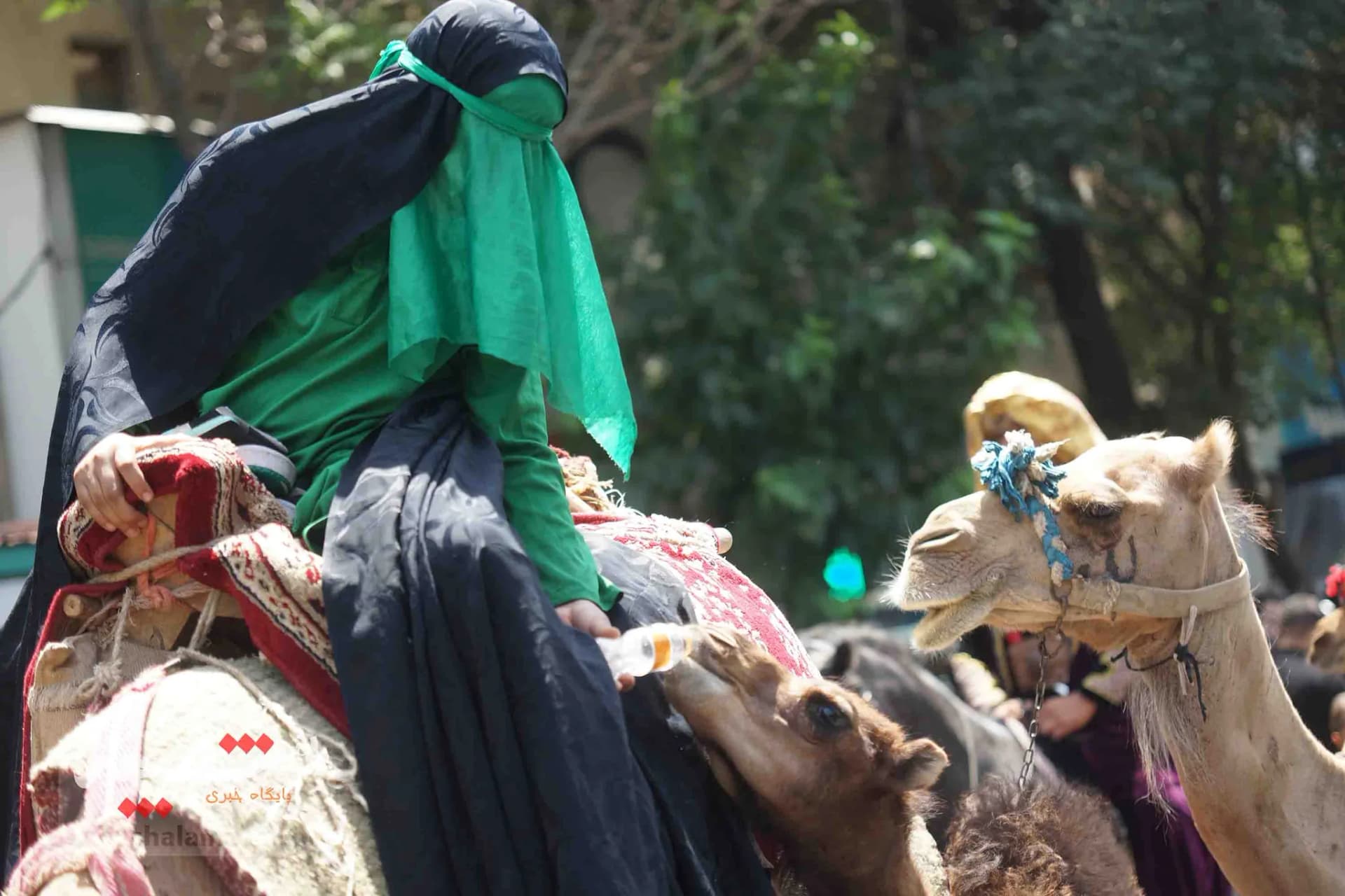 عزاداری خاص در تهران +تصاویر — تصویر 17