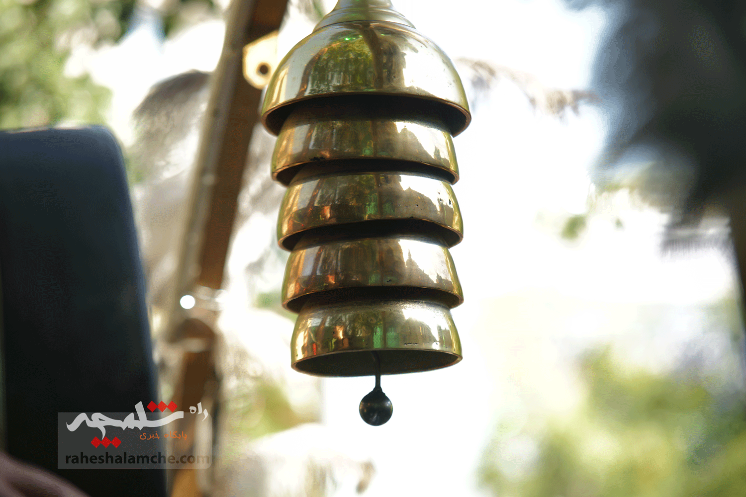 پیکر علیاکبر سفیدگران تشییع شد +تصاویر — تصویر 39