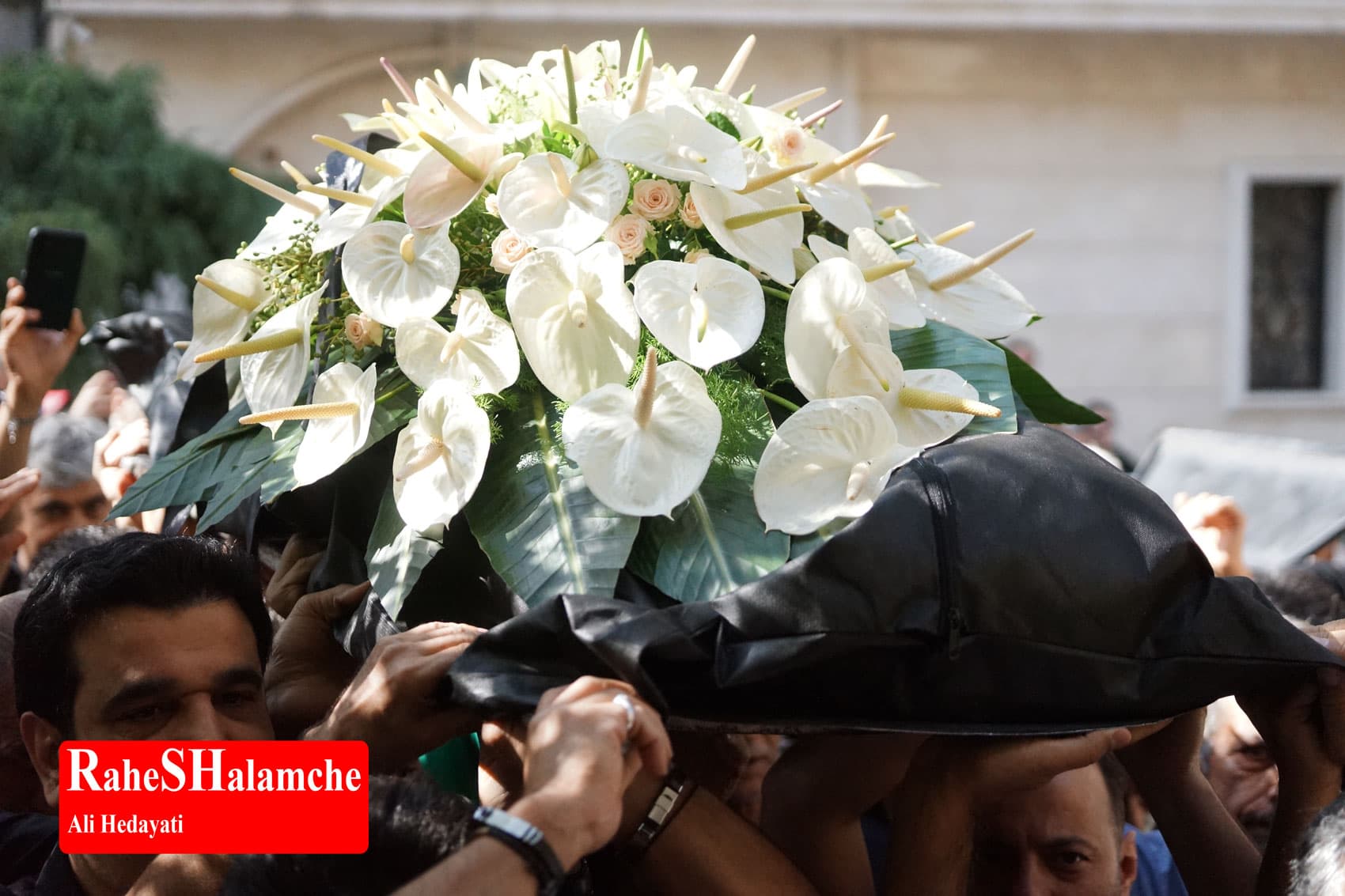 پیکر ثمین باغچهبان تشییع شد +تصاویر — تصویر 18