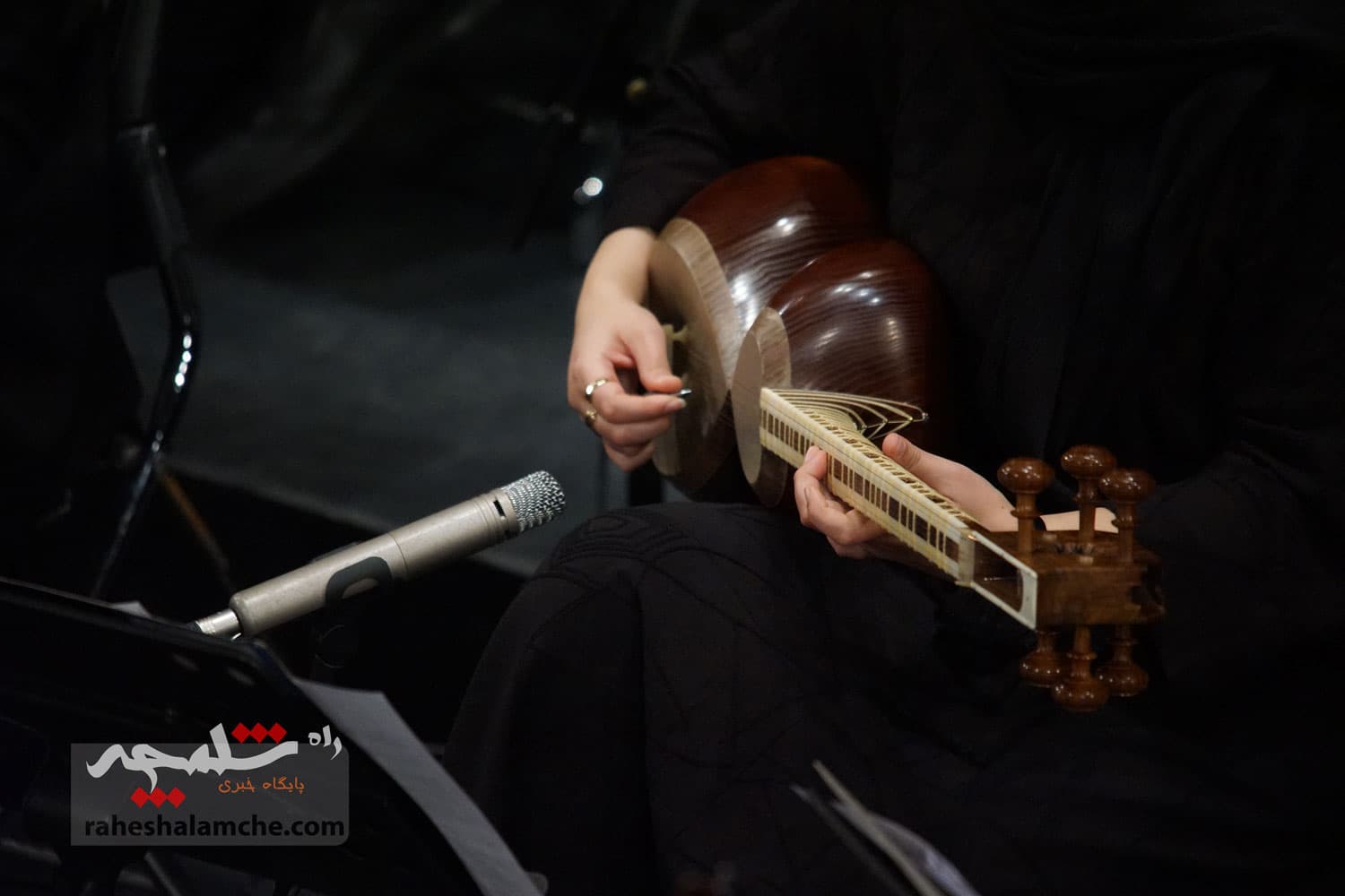 ارکستر موسیقی ملی ایران به استقبال بهار رفت +تصاویر — تصویر 92