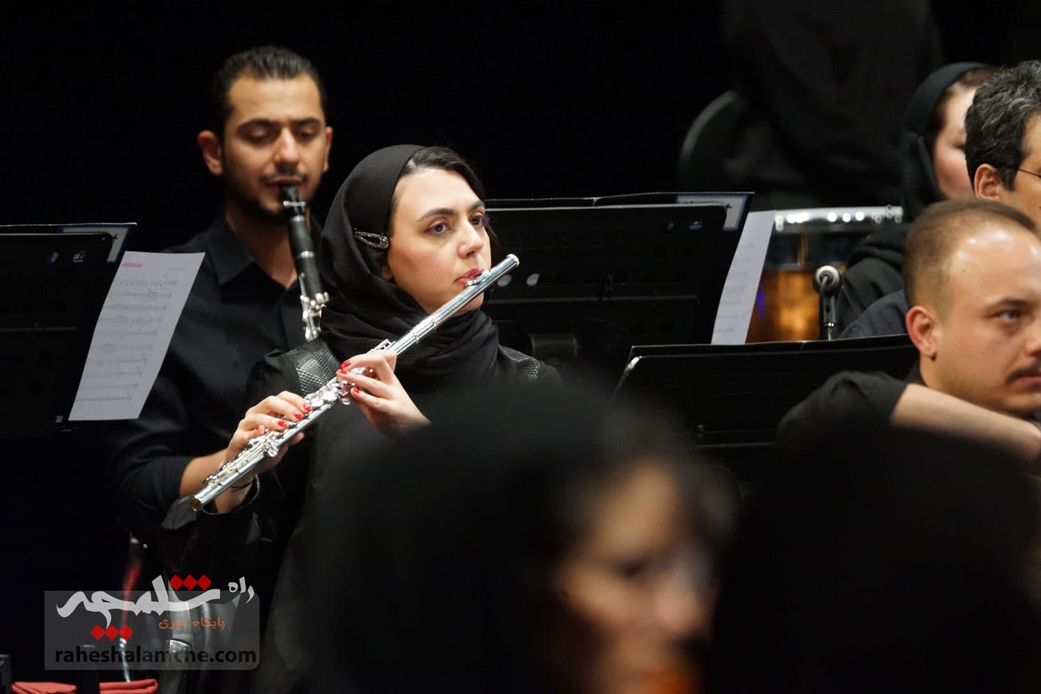 کنسرتی در تالار وحدت، تماشاگران را به وجد آورد +تصاویر — تصویر 74