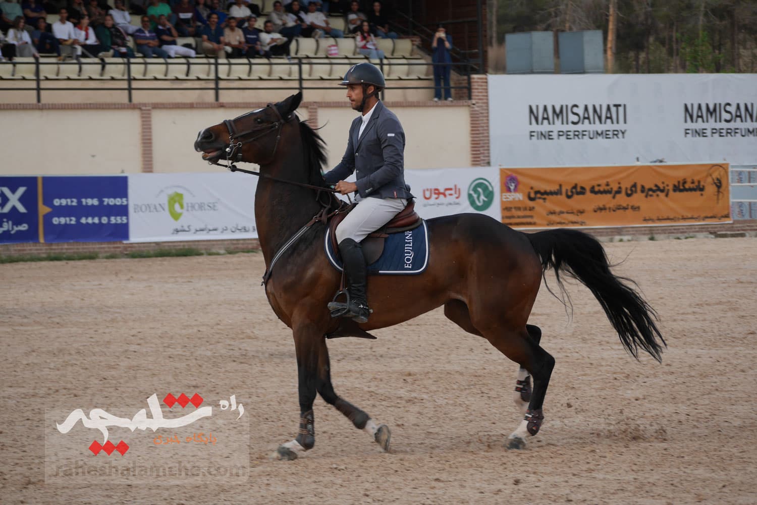 مسابقات سوارکاری جام سرهنگ نشاطی برگزار شد +تصاویر — تصویر 78