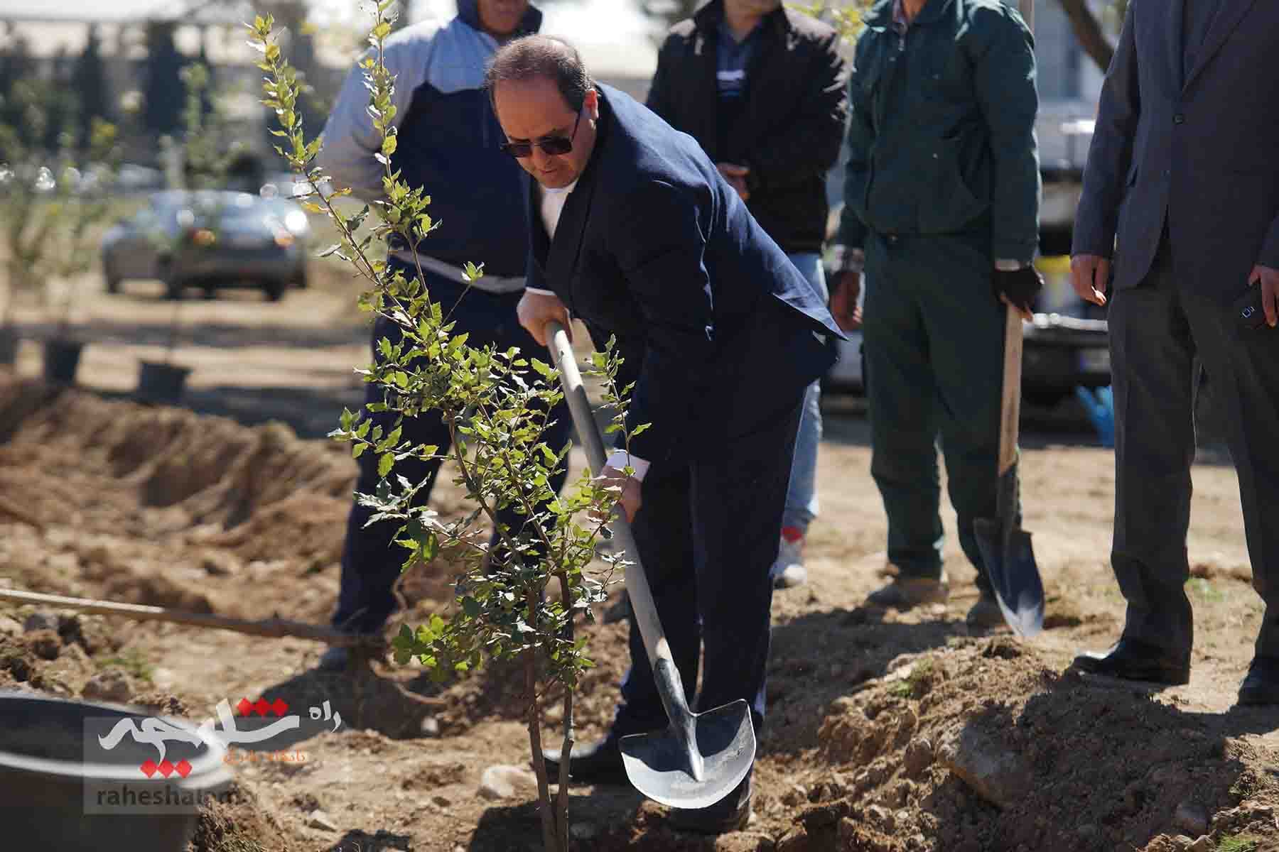 کاشت هزار اصله درخت در دانشگاه تهران — تصویر 5