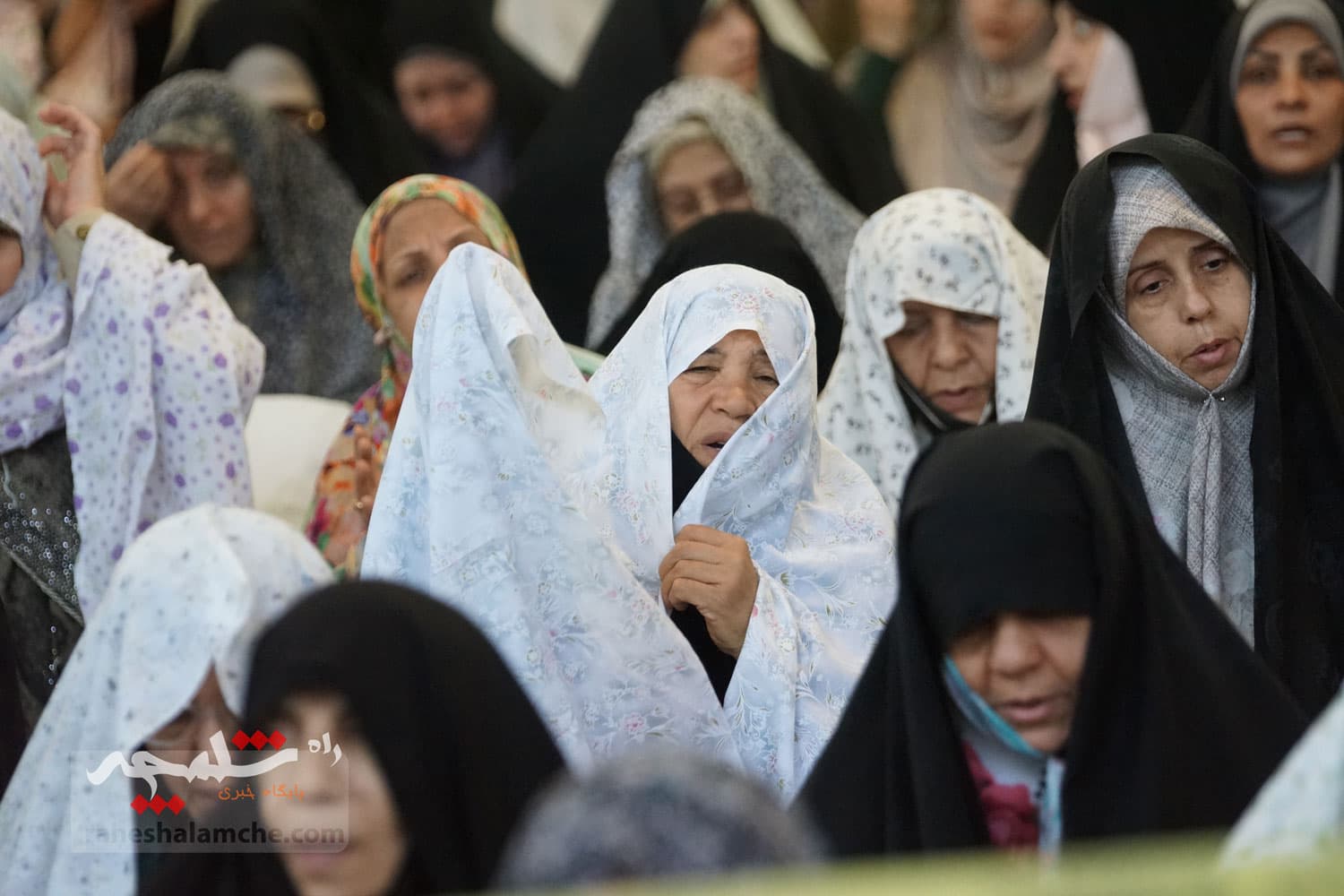 نماز عید قربان در دانشگاه تهران برگزار شد +تصاویر — تصویر 78