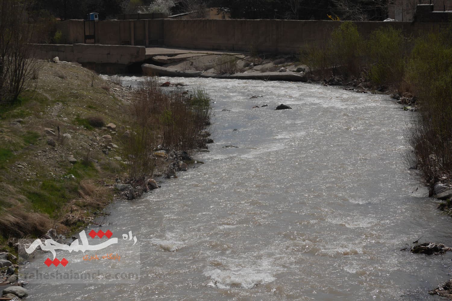 جشن تهرانیها در «روز طبیعت» 1404 +تصاویر — تصویر 12