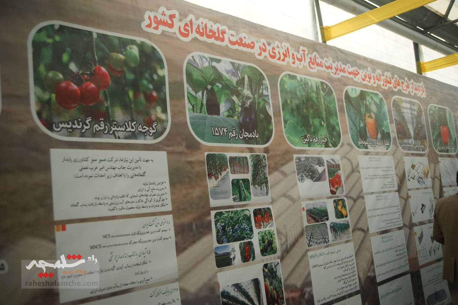 گزارش تصویری کامل سفر پزشکیان جنوب شرق تهران — تصویر 155