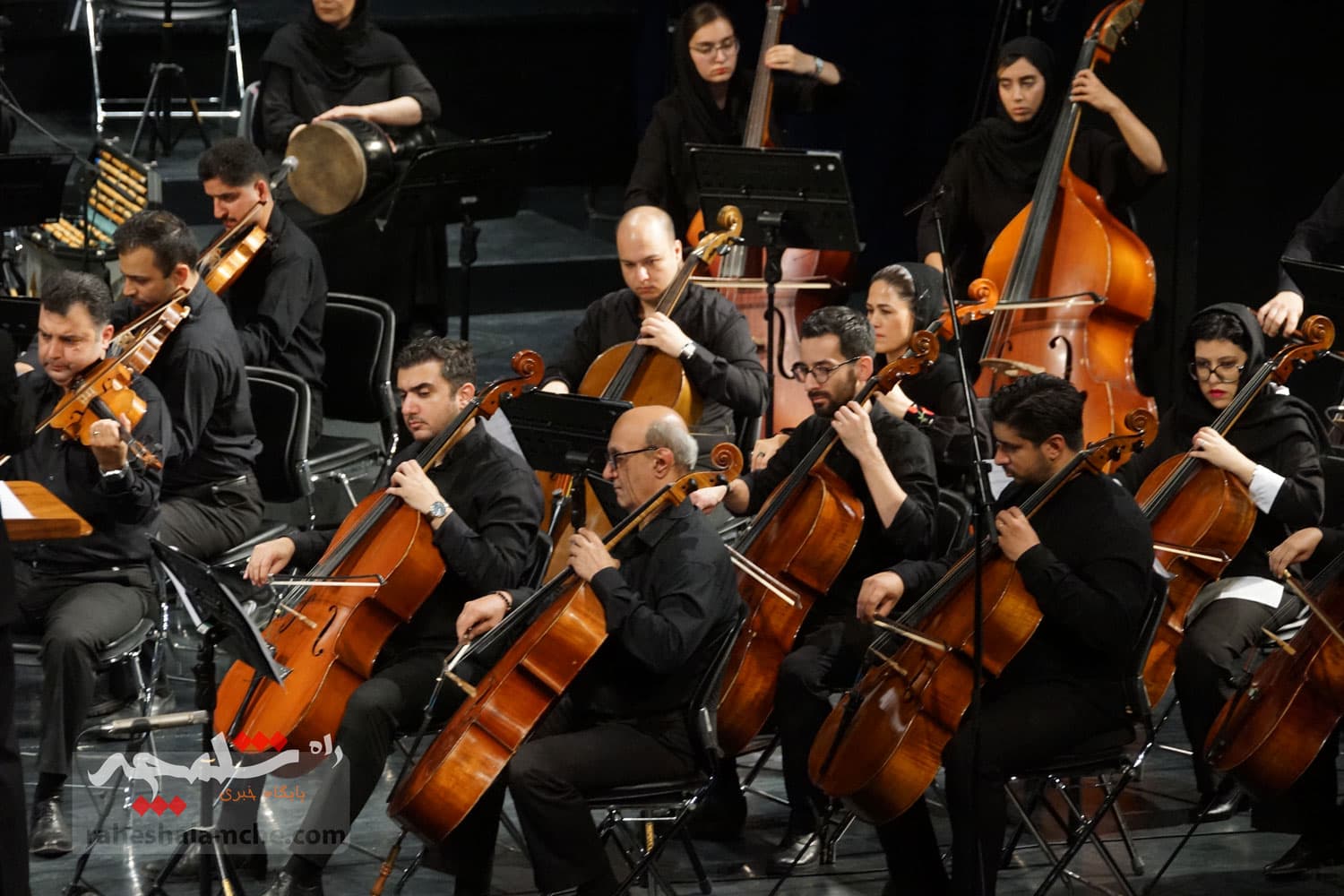 کنسرتی در تالار وحدت، تماشاگران را به وجد آورد +تصاویر — تصویر 28