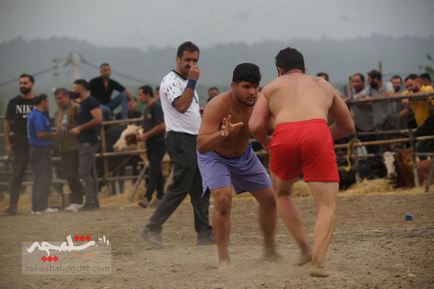 مهمترین مسابقات کشتی سنتی در مارندران برگزار شد +تصاویر — تصویر 50