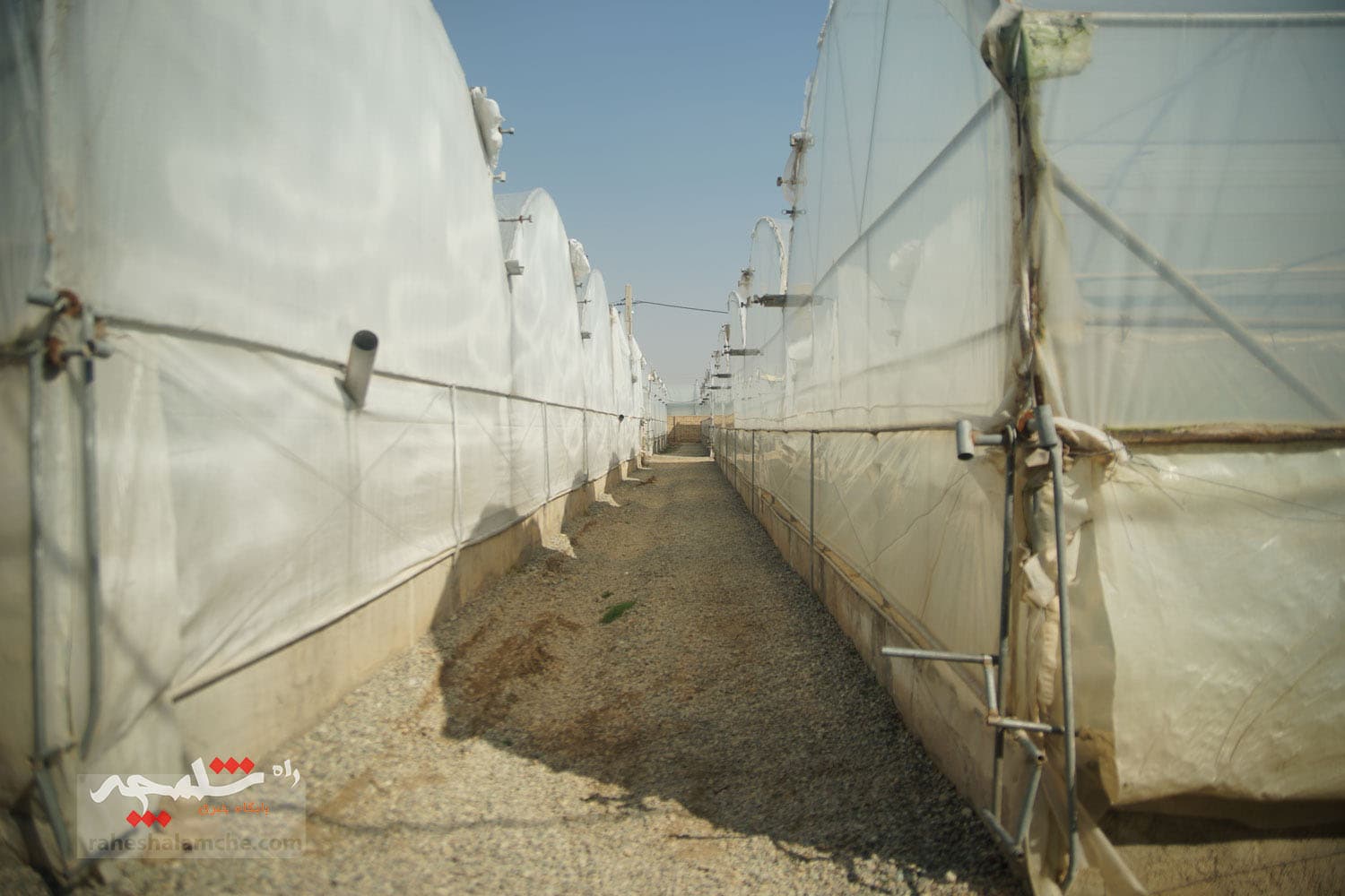 گزارش تصویری کامل سفر پزشکیان جنوب شرق تهران — تصویر 153