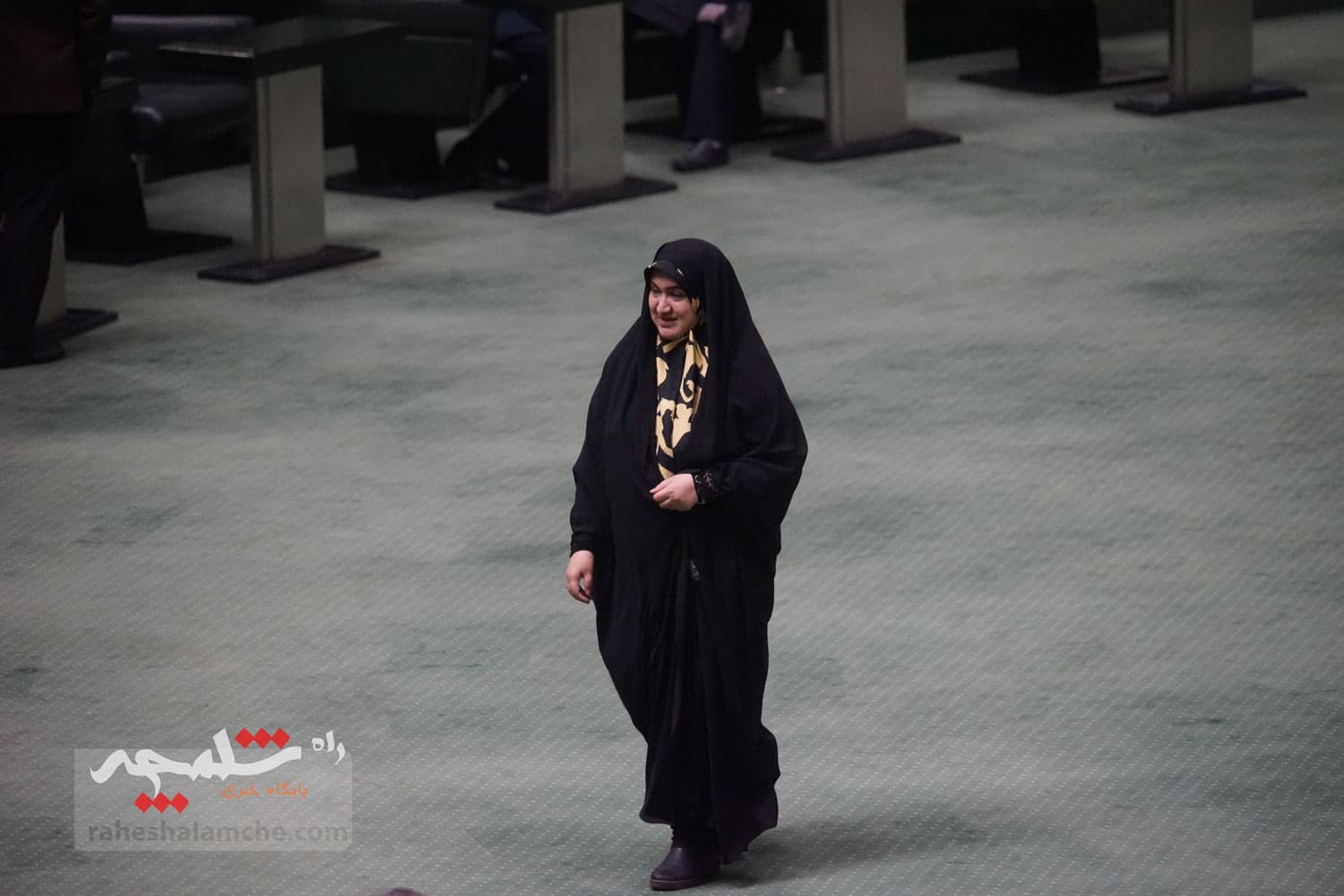 گزارش تصویری کاملا متفاوت از صحن علنی مجلس — تصویر 66