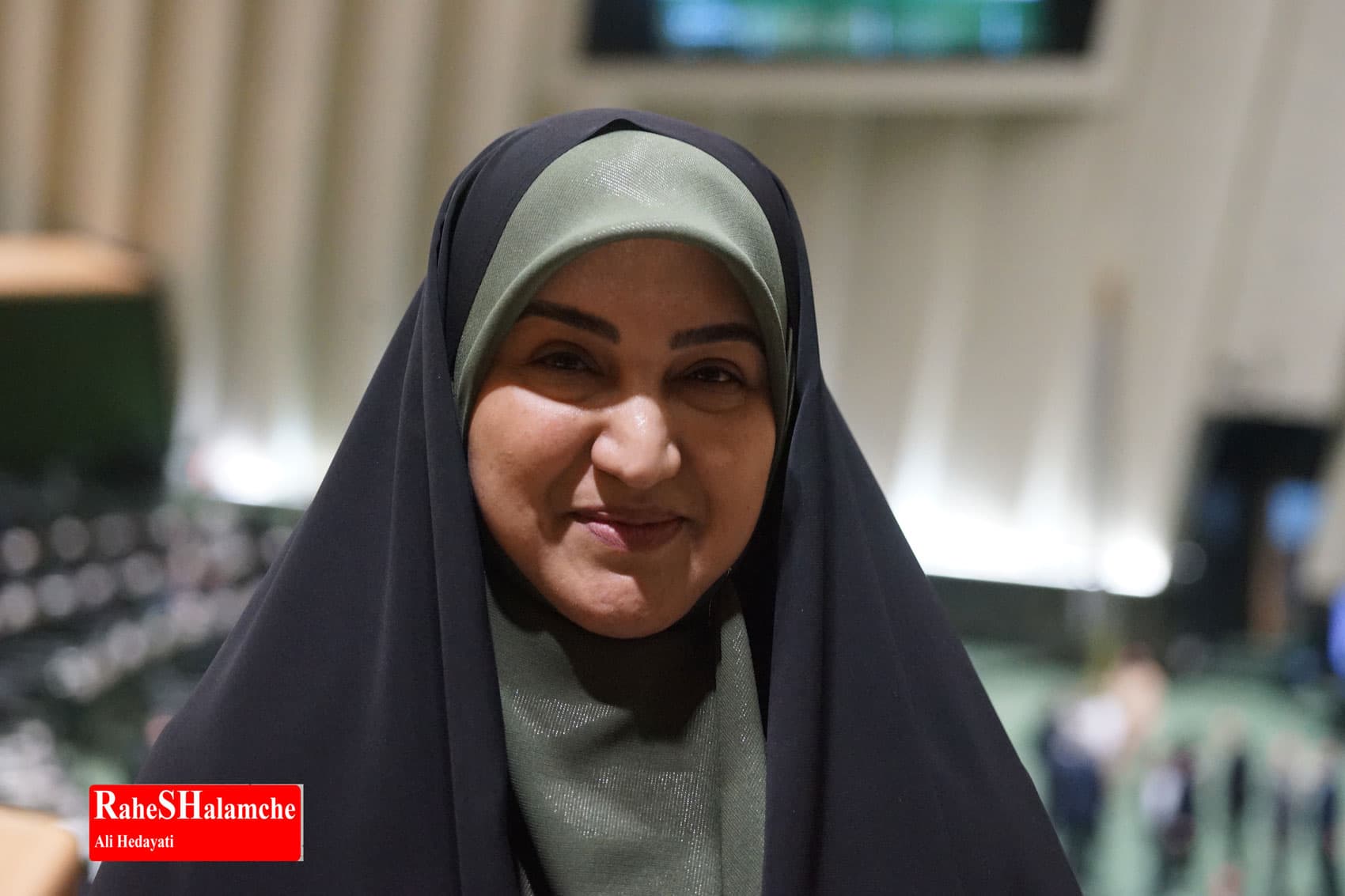 جلسه علنی مجلس شورای اسلامی امروز مجلس +تصاویر — تصویر 81