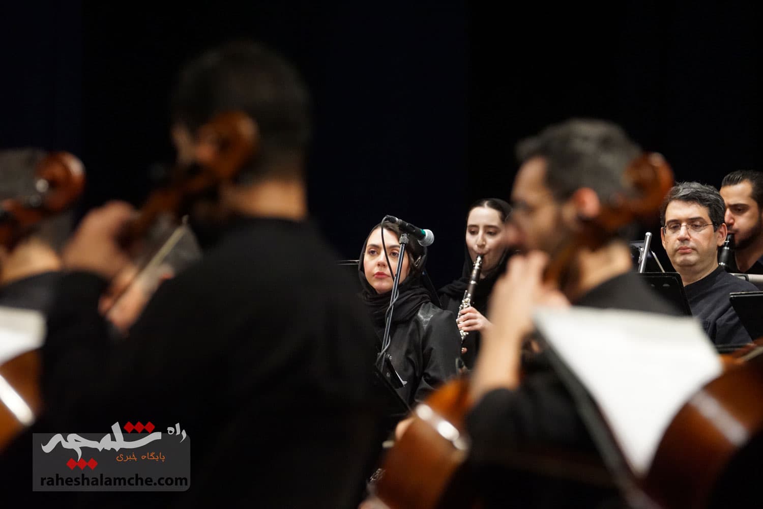کنسرتی در تالار وحدت، تماشاگران را به وجد آورد +تصاویر — تصویر 5