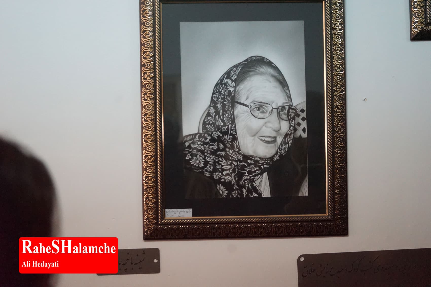 پیکر ثمین باغچهبان تشییع شد +تصاویر — تصویر 59