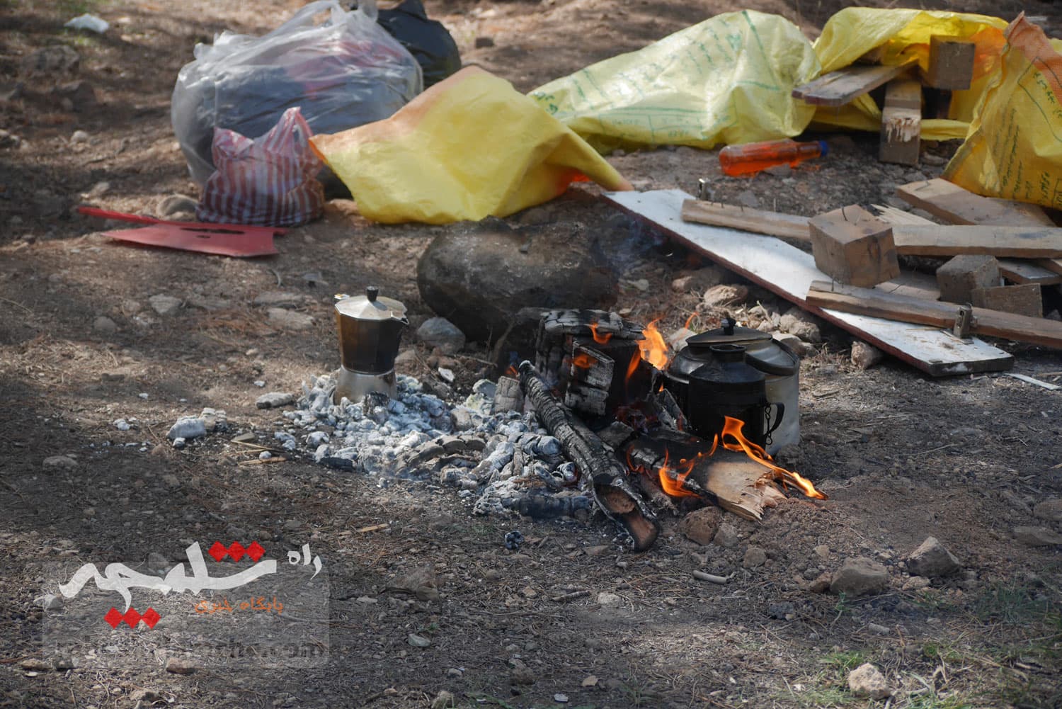 جشن تهرانیها در «روز طبیعت» 1404 +تصاویر — تصویر 35