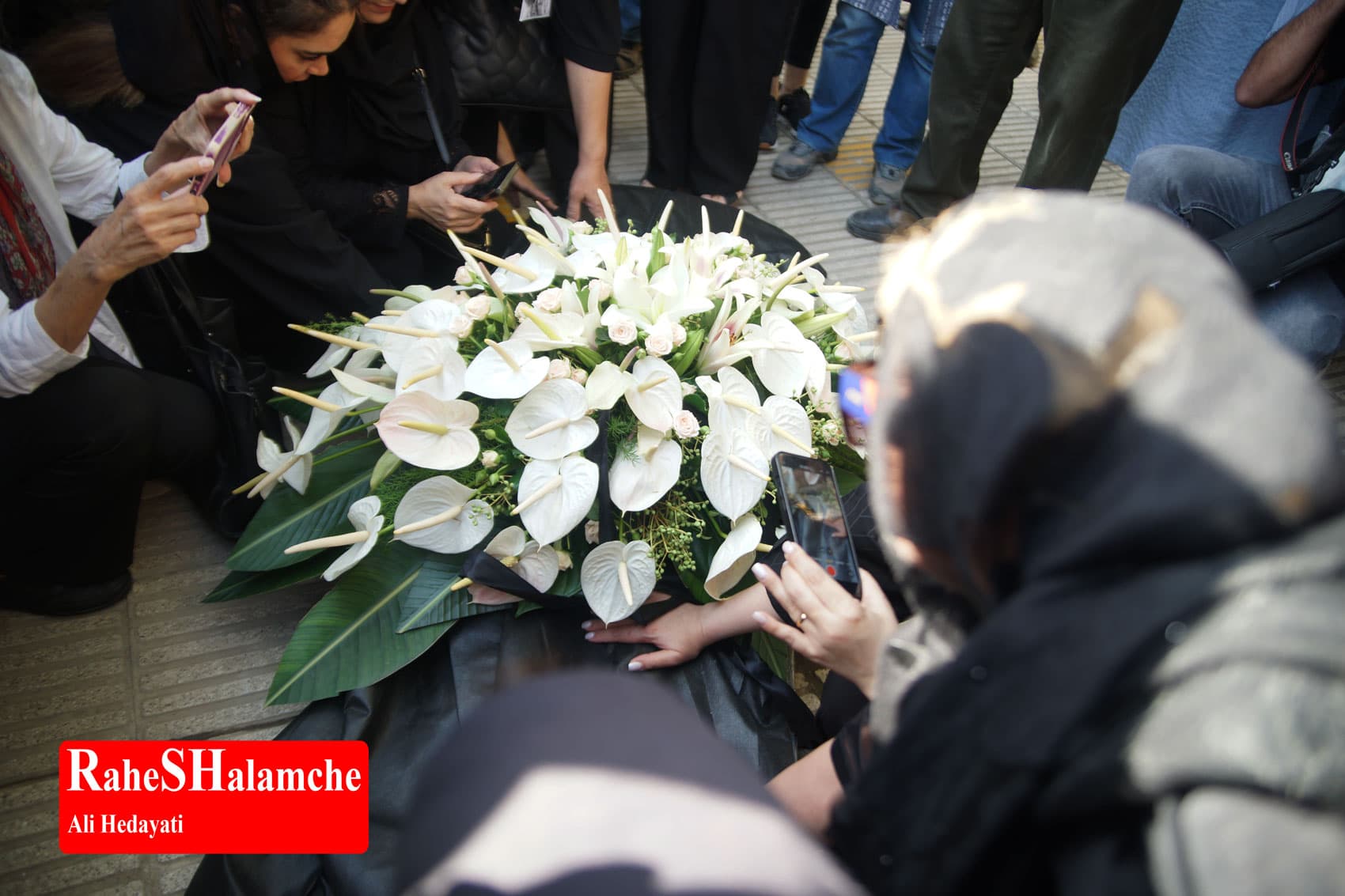 پیکر ثمین باغچهبان تشییع شد +تصاویر — تصویر 23