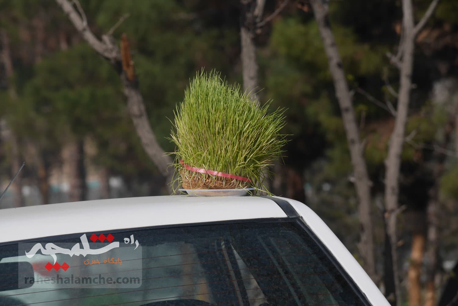 جشن تهرانیها در «روز طبیعت» 1404 +تصاویر — تصویر 31