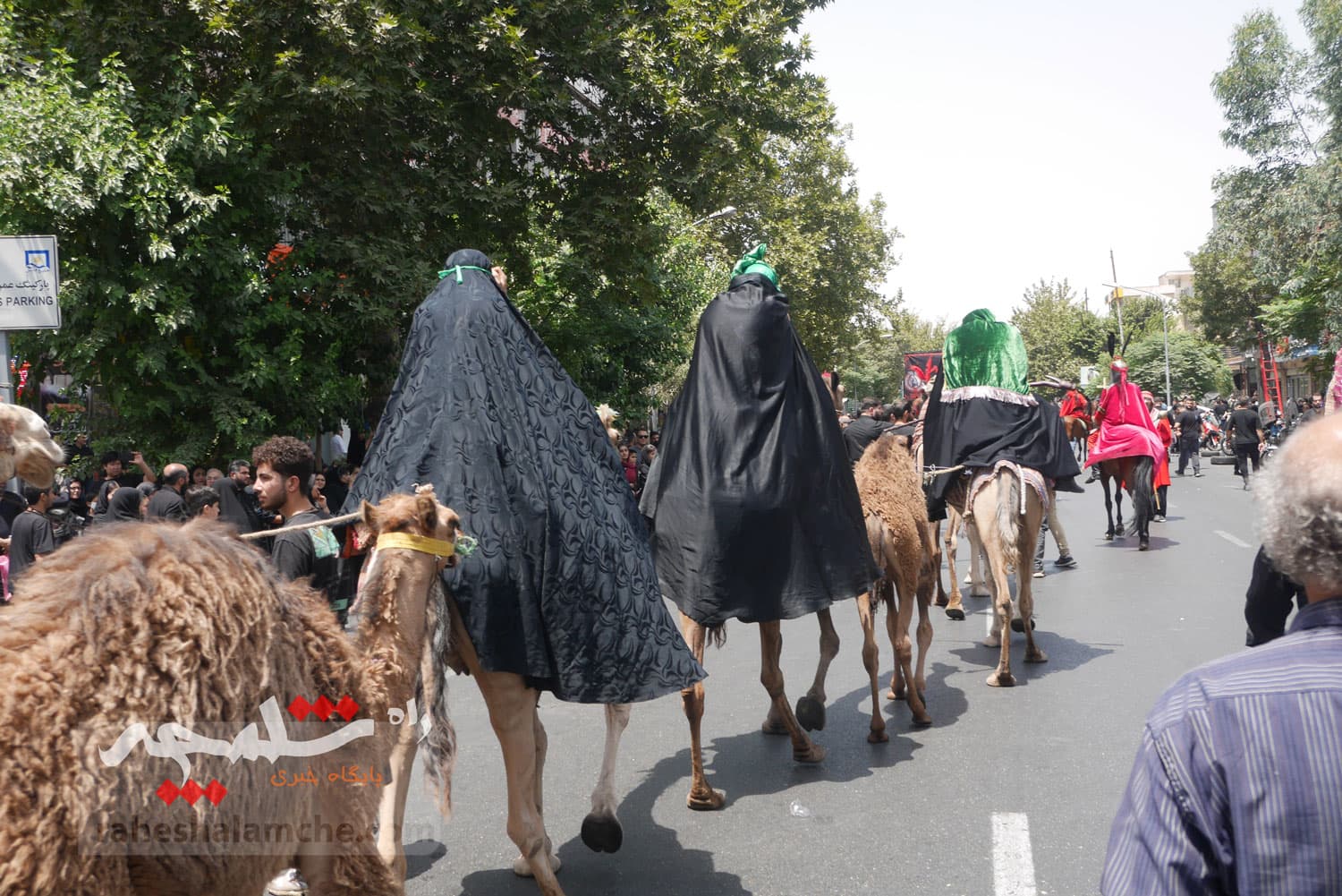 دسته عزادارای خاص در تهران +تصاویر — تصویر 51