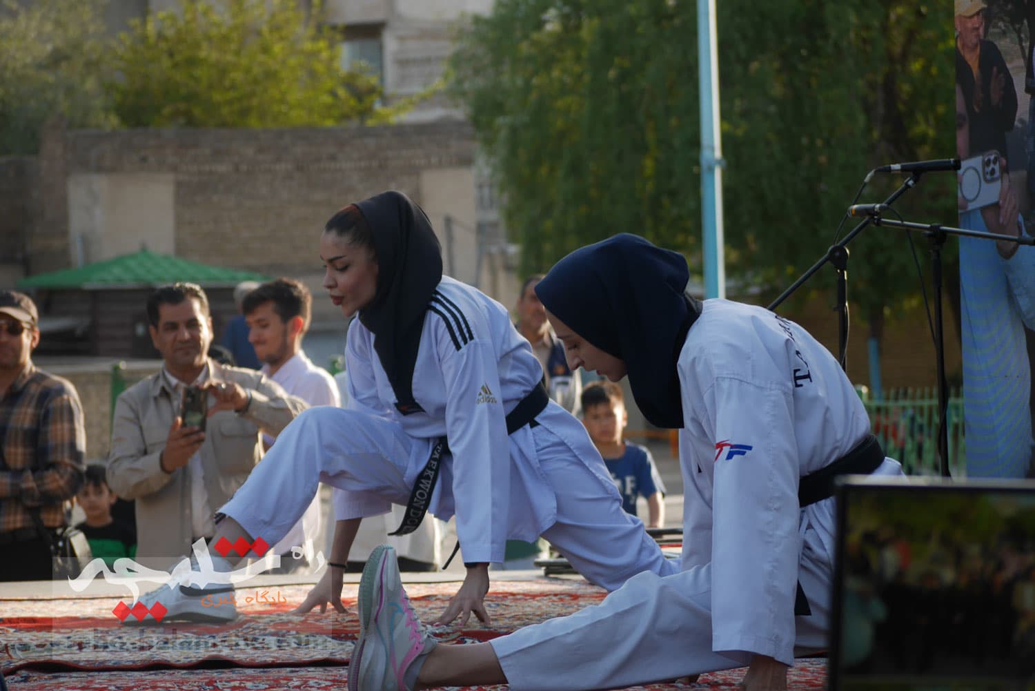مراسم استقبال از کوهنوردان اورست در چشمهعلی شهر ری +تصاویر — تصویر 54