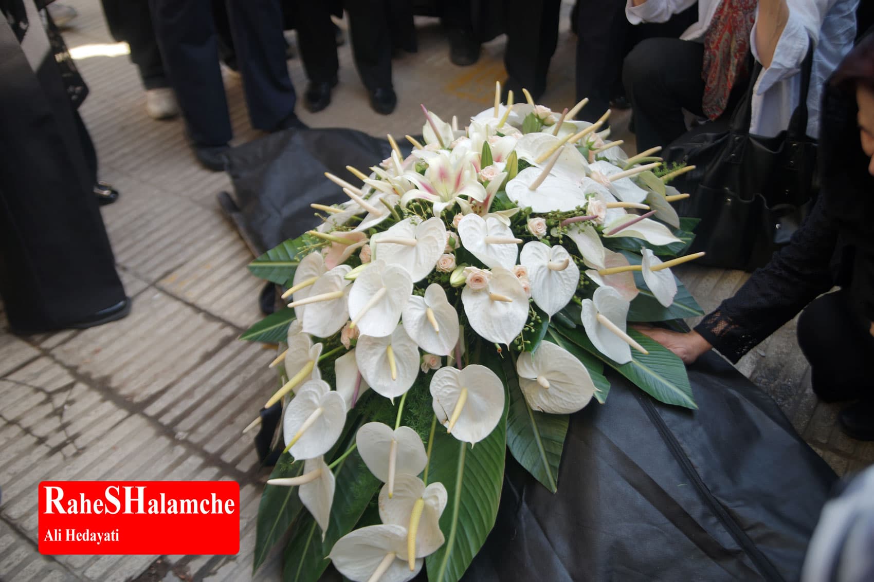 پیکر ثمین باغچهبان تشییع شد +تصاویر — تصویر 26