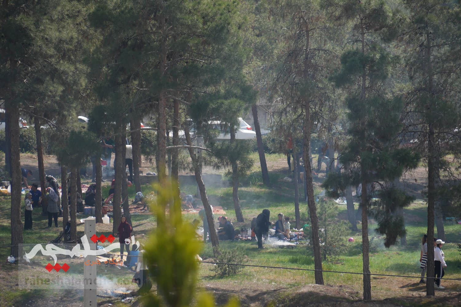 جشن تهرانیها در «روز طبیعت» 1404 +تصاویر — تصویر 56