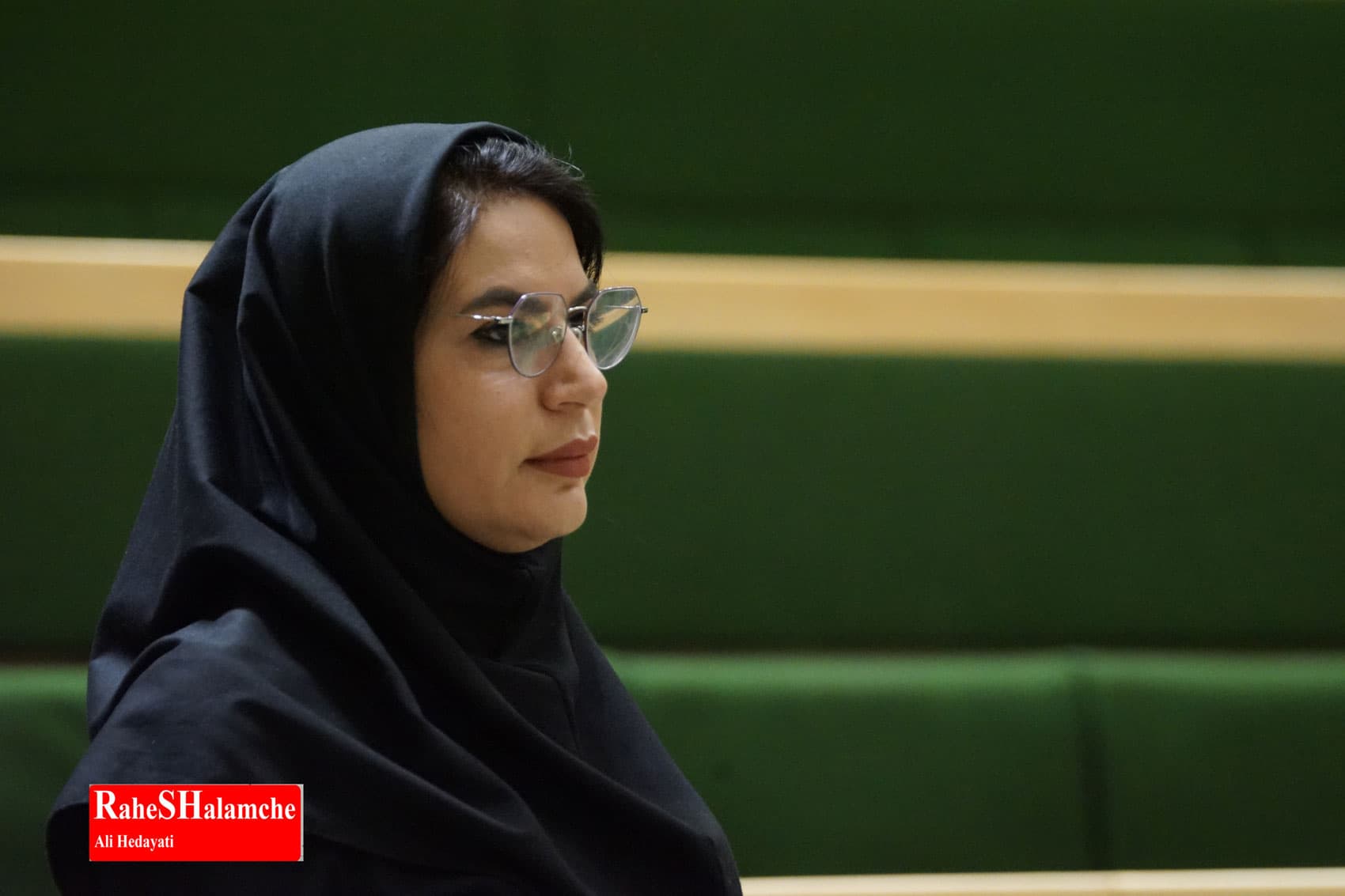 جلسه علنی مجلس شورای اسلامی امروز مجلس +تصاویر — تصویر 67
