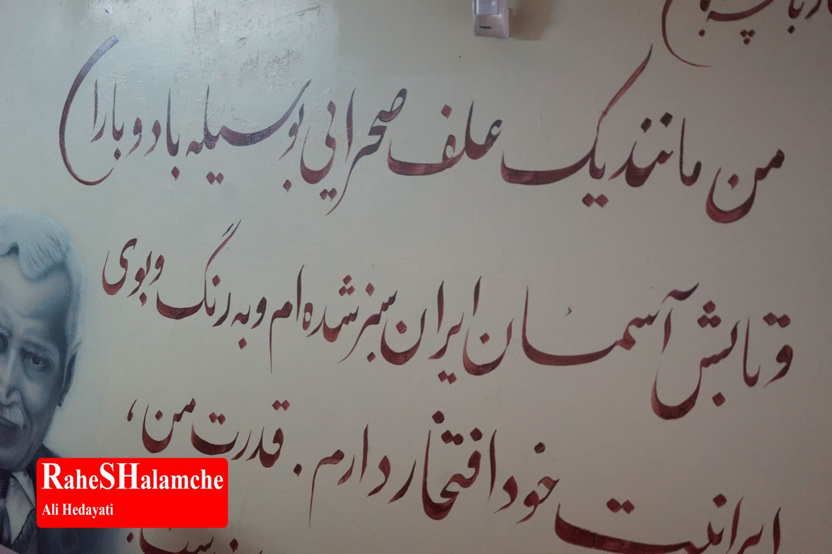 پیکر ثمین باغچهبان تشییع شد +تصاویر — تصویر 22