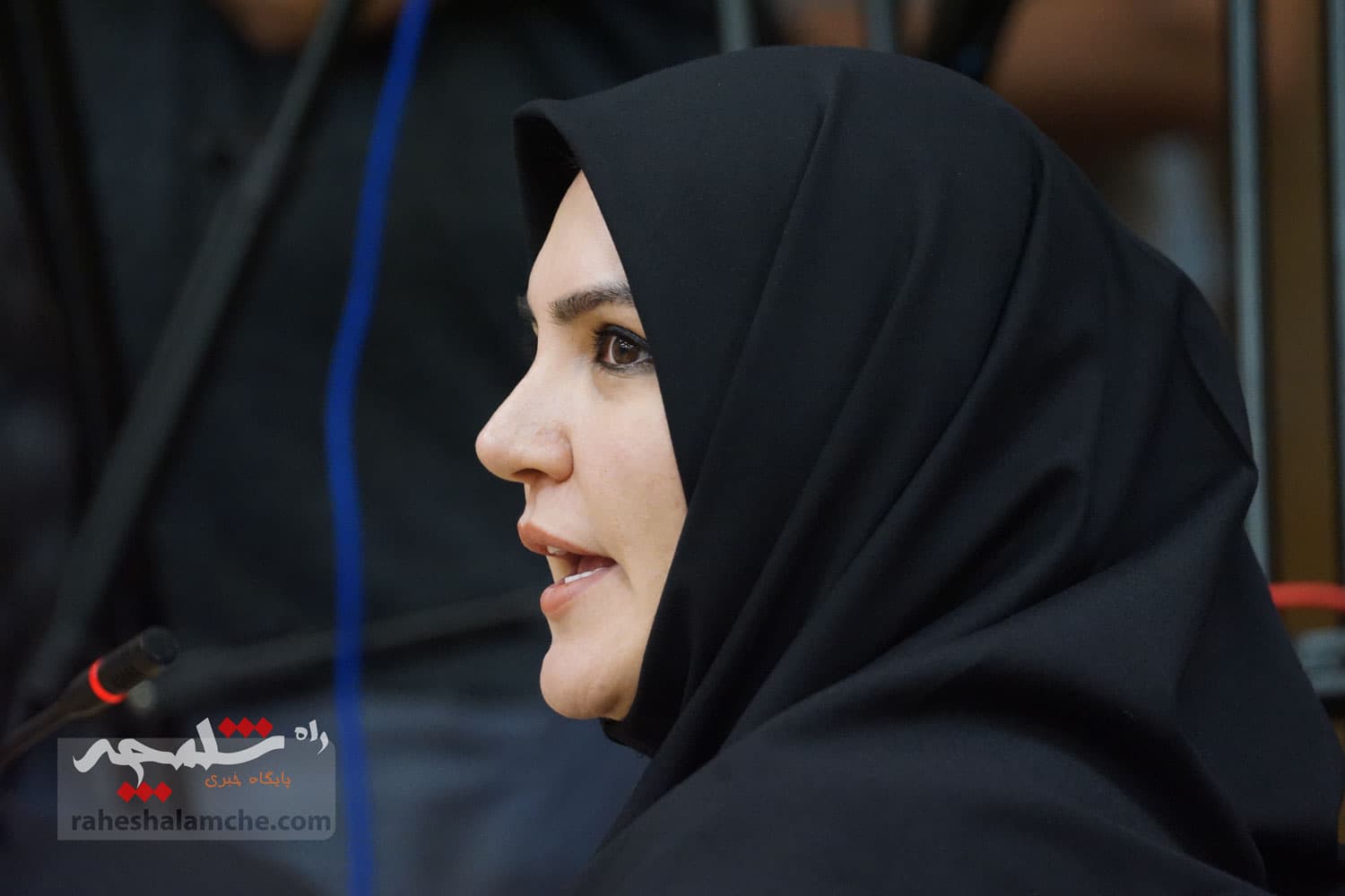 نشست خبری سخنگوی شورای نگهبان برگزار شد +تصاویر — تصویر 73