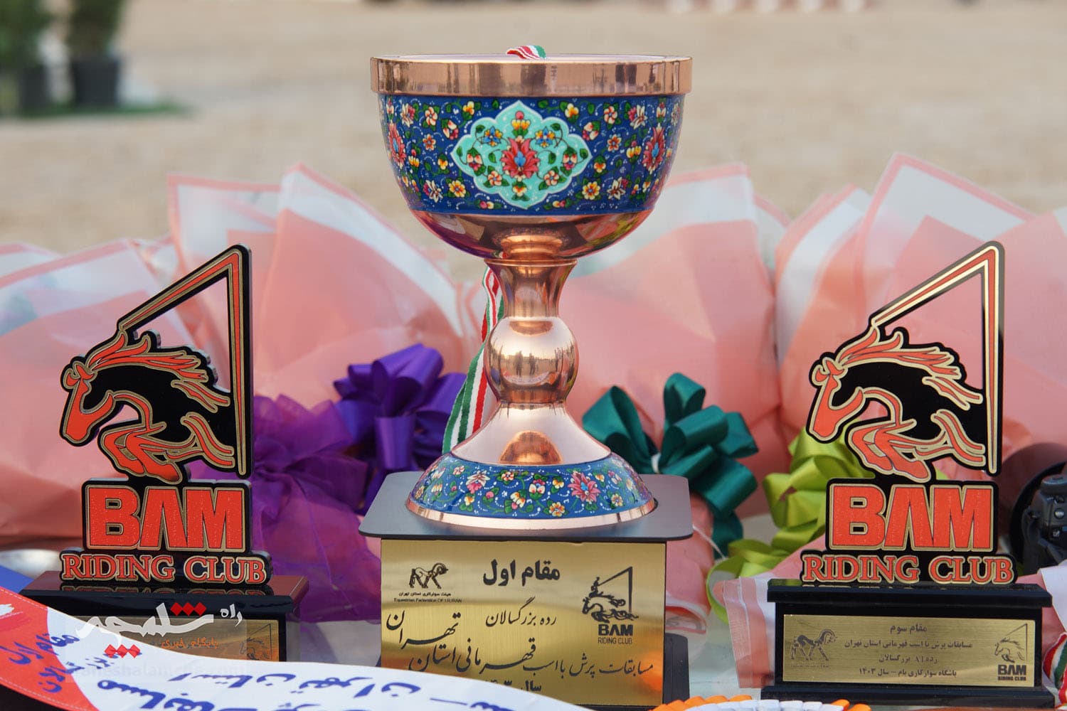 مسابقات قهرمانی پرش با اسب استان تهران برگزار شد +تصاویر — تصویر 136