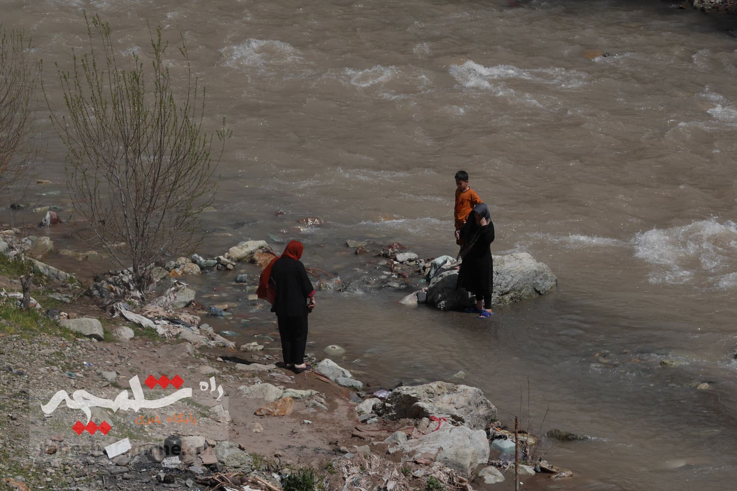 جشن تهرانیها در «روز طبیعت» 1404 +تصاویر — تصویر 9